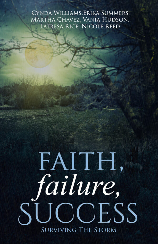 Faith, Failure, Success Vol. 2